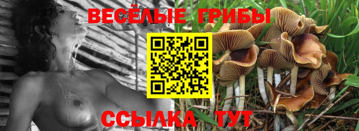 Псилоцибиновые грибы ЛСД Барабинск