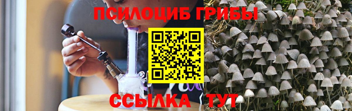 Барабинск  даркнет сайт  Вход с VPN  Галлюциногенные грибы Psilocybine cubensis 